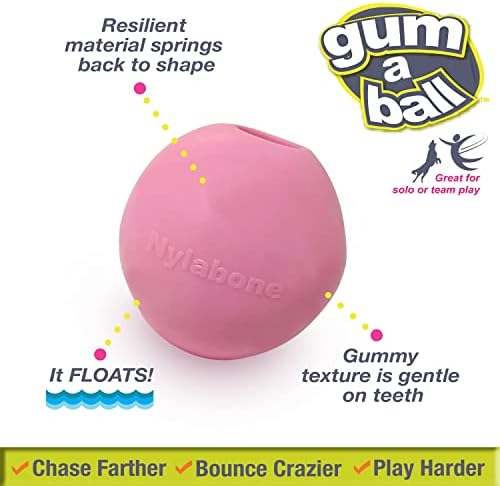 Nylabone Power Play Gum-A-Ball igračka za pse jedne veličine