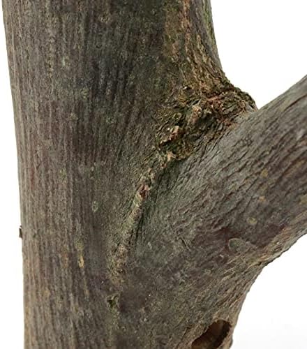Trnamay 8pcs Pravo drva grana Zidna kuka, rustikalna drvena seoska kuća s debljinom kore debljine 2 cm-3 cm s vijkom
