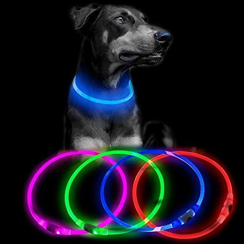 Domagiker USB punjivi LED ovratnik za pse - reflektivni sjaj u tamnom, podesivom ovratniku za male, srednje i velike pse