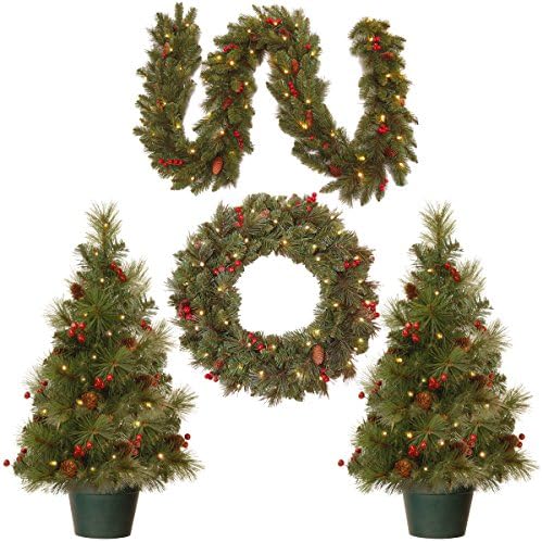 Nacionalna kompanija drveća Nacionalna unaprijed osvijetljena bijela LED svjetla odmor božićni božićni set | Vijenac, vijenac i set