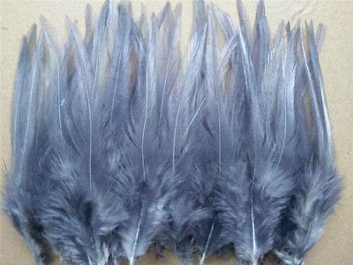 Nakit od 50 komada, perje sivog fazana, duljine 10-15 cm, Uradi Sam nakit