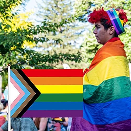 Mini Rainbow Stick Flag, 10pack 5 x 8 inča Zajednica gay ponos lezbijski transrodni biseksualna zastava, zastava za napredak u Pan-spolu